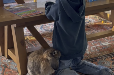 Just a boy and his bunny