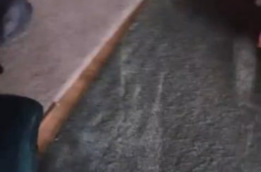 I occasionally regret curing his vacuum cleaner phobia.