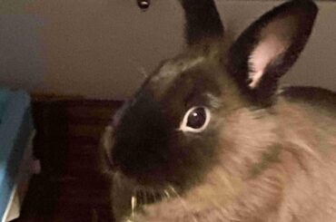 Beautiful baby mama loves you coco