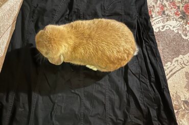 Won’t let me take pics for Vinted 🥲