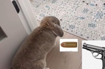 The Fall of sir Fluffington