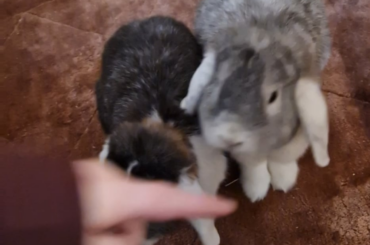 They're so smart😌