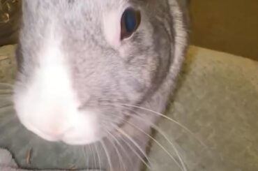 What happens when my attention isn’t on him the very second I wake up…