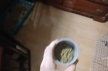 Bunny Take-Out