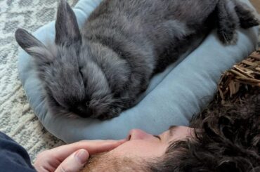 Trying to teach him that snuggles are ok 🤣