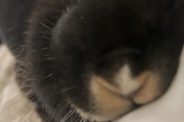 Yes…yes.. succumb to the lazy Sunday morning… goood