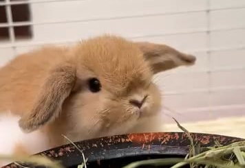 What would you name her?