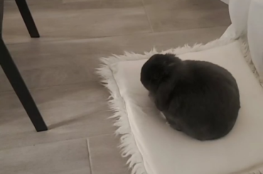 Is this a sign of a seizure?