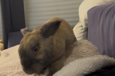 wake up this is my bed