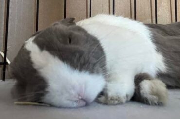 when the naps get a little too much