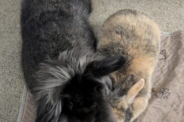 They're in the spirit