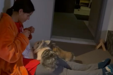 Do you think they love me or just want cookies? 🐰🐰😂🍪