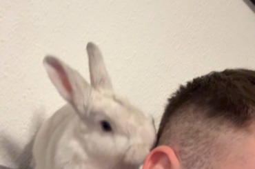 he is in Charge of my hygiene