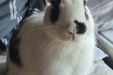 An update on my lovely boy; he was just very thirsty!