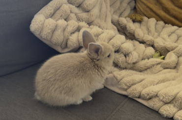 The naughty man never stops