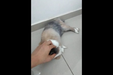 Sleep Massage