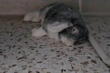 She fell asleep so hard she started twitching 😭