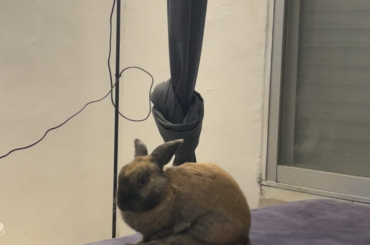 he almost formed a thought