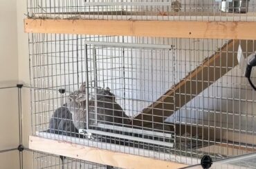 ⚠️ Scandalous act caught on camera!