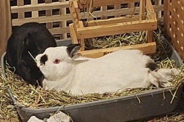 Their greed sickens me