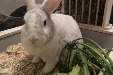 kurt wishes you all a happy sunday !