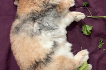 In all my 34 years I have never slept this good😂😂