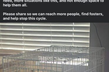 Please help