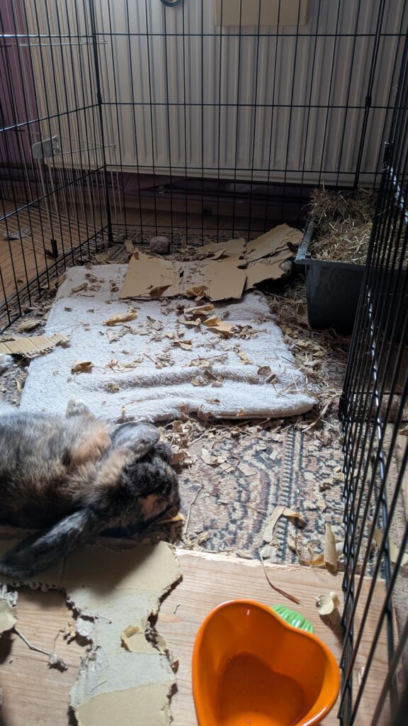 Dreaming in his own chaos😴🫯🫯