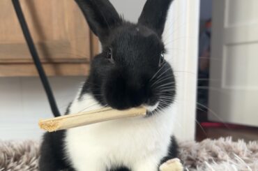 She’s so proud of herself 😭❤️