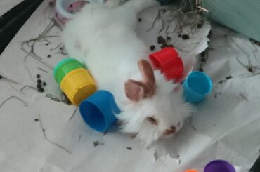 Long day at the cup throwing factory