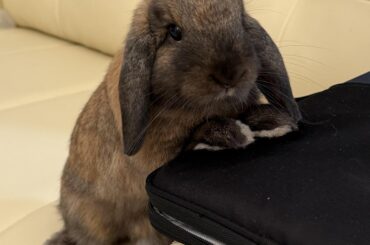 nail appointment! 💅