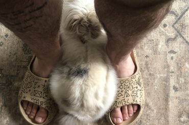 Does anyone’s bun flop/loaf between your feet?