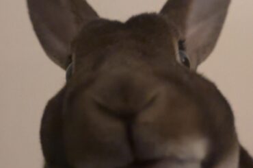 Got games on your phone?