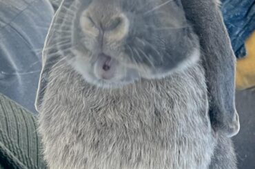 She knows another treat is coming