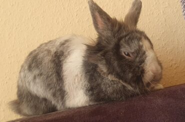 Sleepy loaf 😴