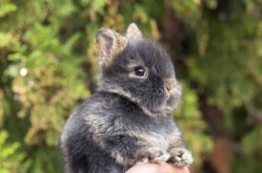 Looking for a name