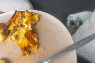 no peace at dinner time