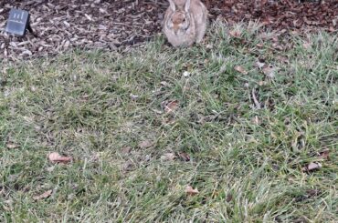 You'll be missed YardBun :(