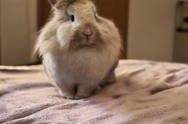 Isn't she the prettiest girl ever?