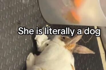 I’m the reason mom has to take the trash out 3 times a day SHAME