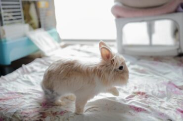 He is so elegant and happy!