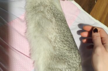 Oh no there's been a theft