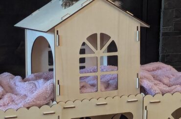 Filbert the Fearless