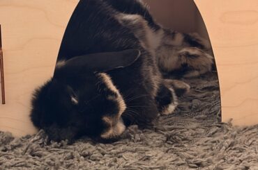 Sleepy baby