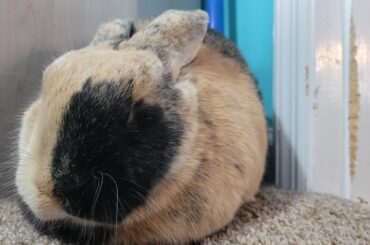 "So, you're saying that cause I'm sitting here, I'm the one who chewed that ?"