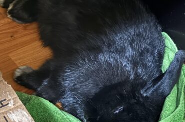 My son gave me a heart attack (he just eepy)