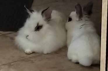 Bonding progress