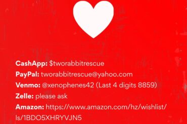 Hello r/Bunnies, we are a 501(c)3 status pending bunny rescue operating in WA and southern CA and we need fosters, adopters, & donations to help with rising influx in requests