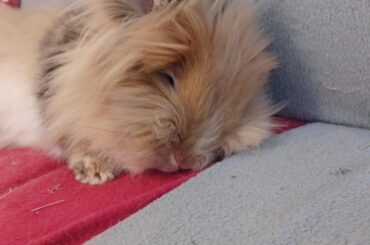 Living the best life