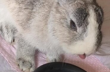He :p